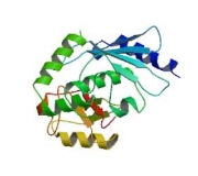 Ubiquitin Conjuating Enzyme (E2/UBCE) ELISA Kit (Part hE2UBCE-ELISA)